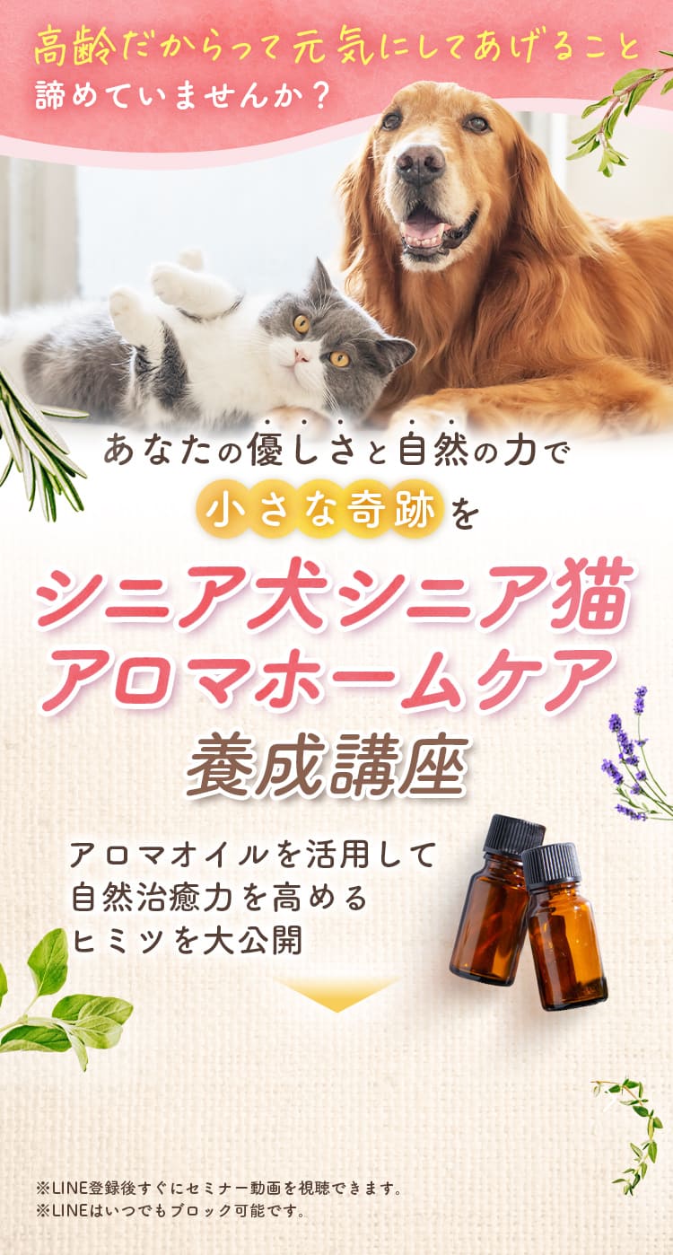 高齢だからって元気にしてあげること諦めていませんか？あなたの優しさと自然の力で小さな奇跡をシニア犬シニア猫アロマホームケア養成講座アロマオイルを活用して自然治癒力を高めるヒミツを大公開